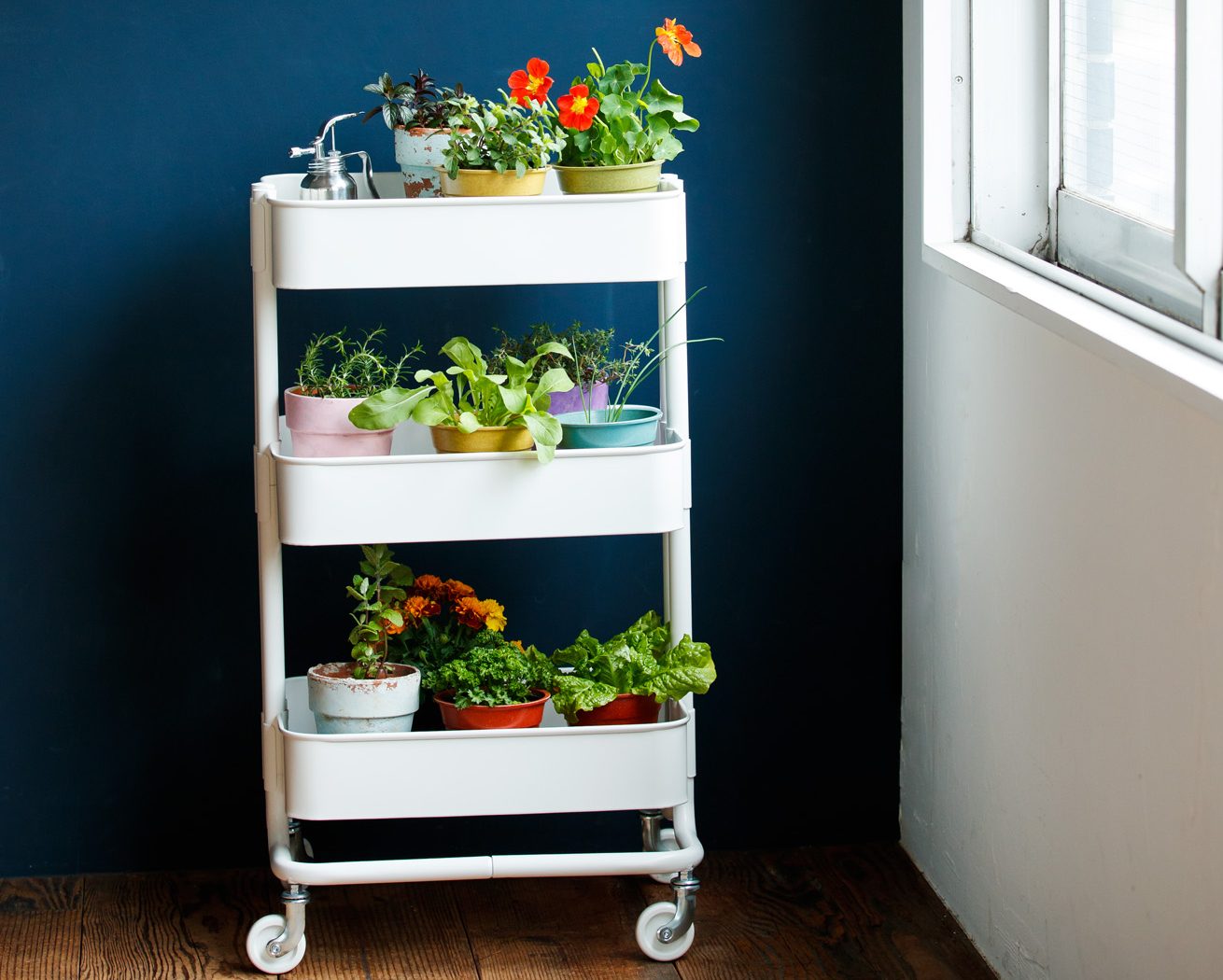 おうち時間 はグリーンでリフレッシュ 1 省スペースなプランター インテリア 雑貨 Mart マート 公式サイト 光文社