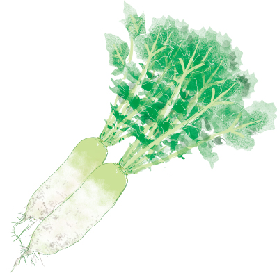 癒しの 栽培キット 一度の栽培でキメたい人は根菜を インテリア 雑貨 Mart マート 公式サイト 光文社