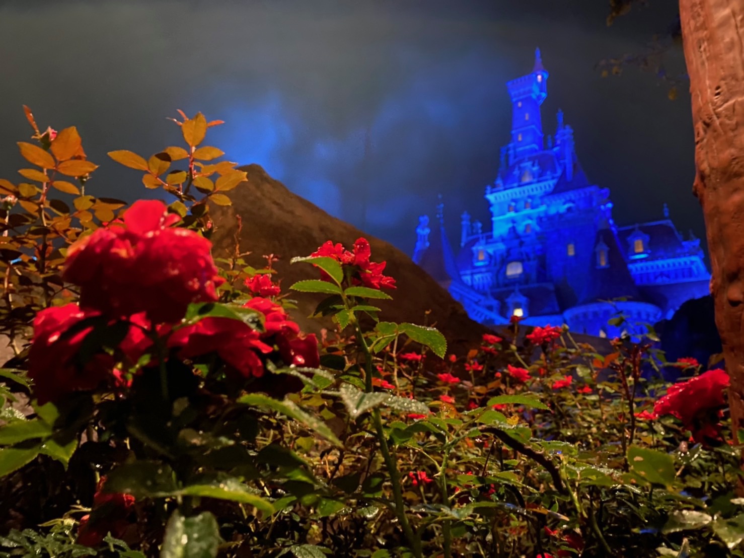 美女と野獣”魔法のものがたり”」待ち列で注目したいこだわりの演出