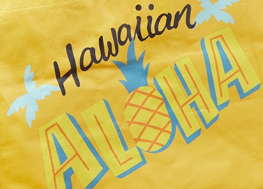 「Hawaiian ALOHA」のOの文字がパイナップルのイラストになっているかわいらしいロゴ