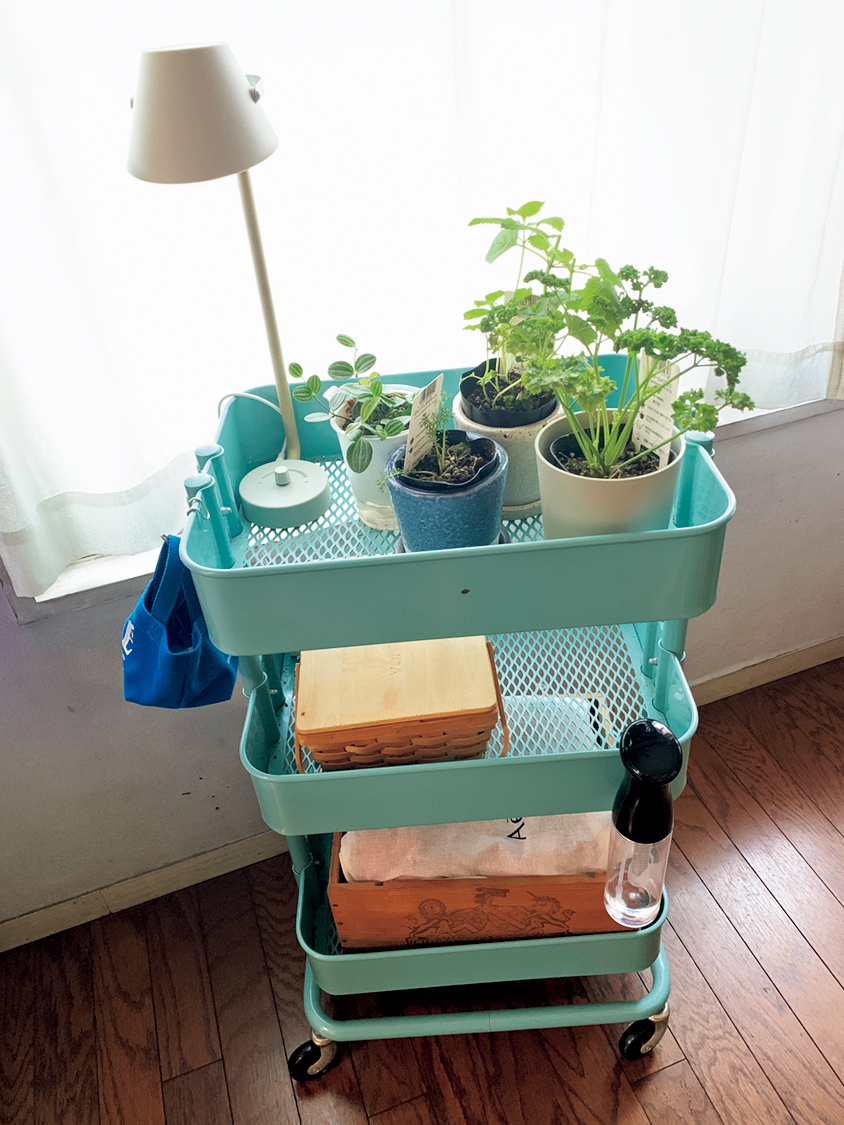 8台使いの達人に学ぶ！イケアの三段ワゴン「ロースコグ」活用術