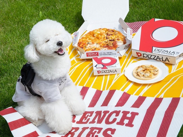 ピザの箱と犬
