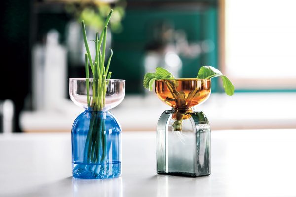 配色使いのオシャレなガラスの容器で再生野菜を育てている様子。