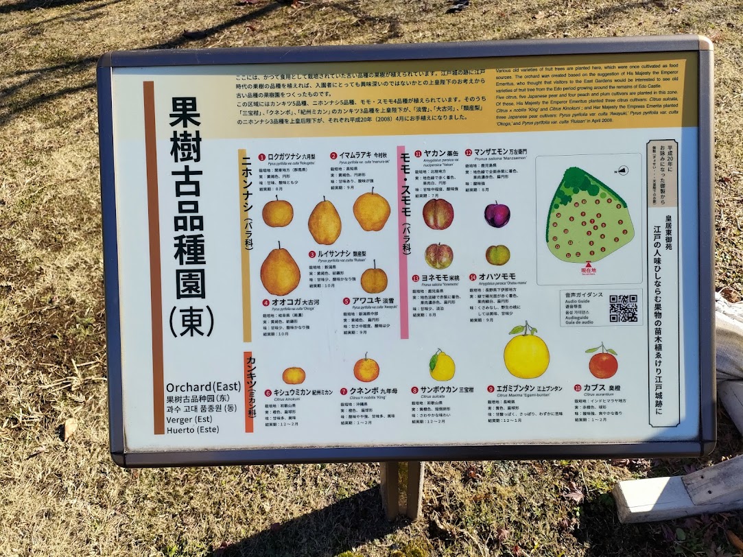 江戸時代の古品種の果樹を説明する看板