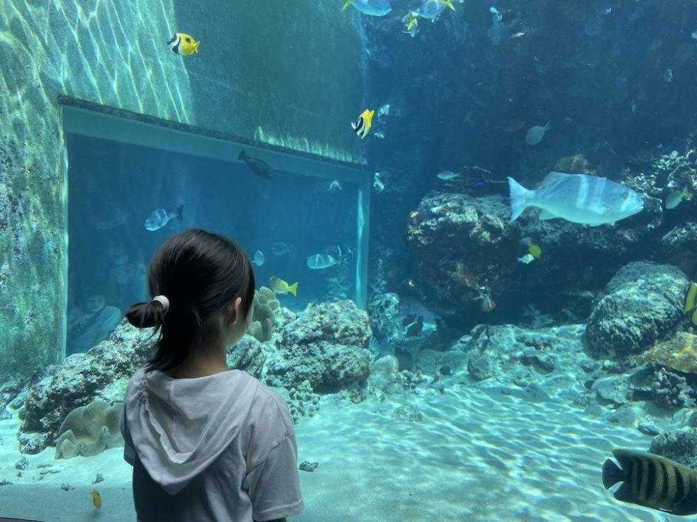 沖縄家族旅行　美ら海水族館