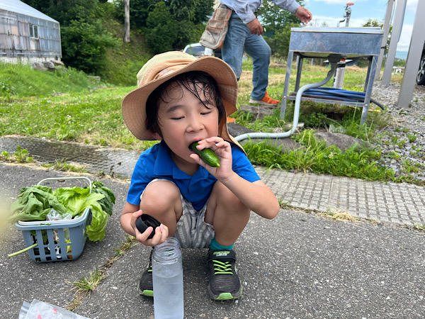 東急リゾートタウン蓼科　野菜収穫体験