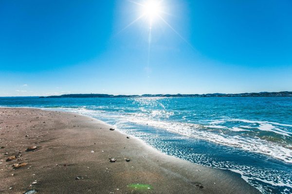 神奈川県の無人島「猿島」の海