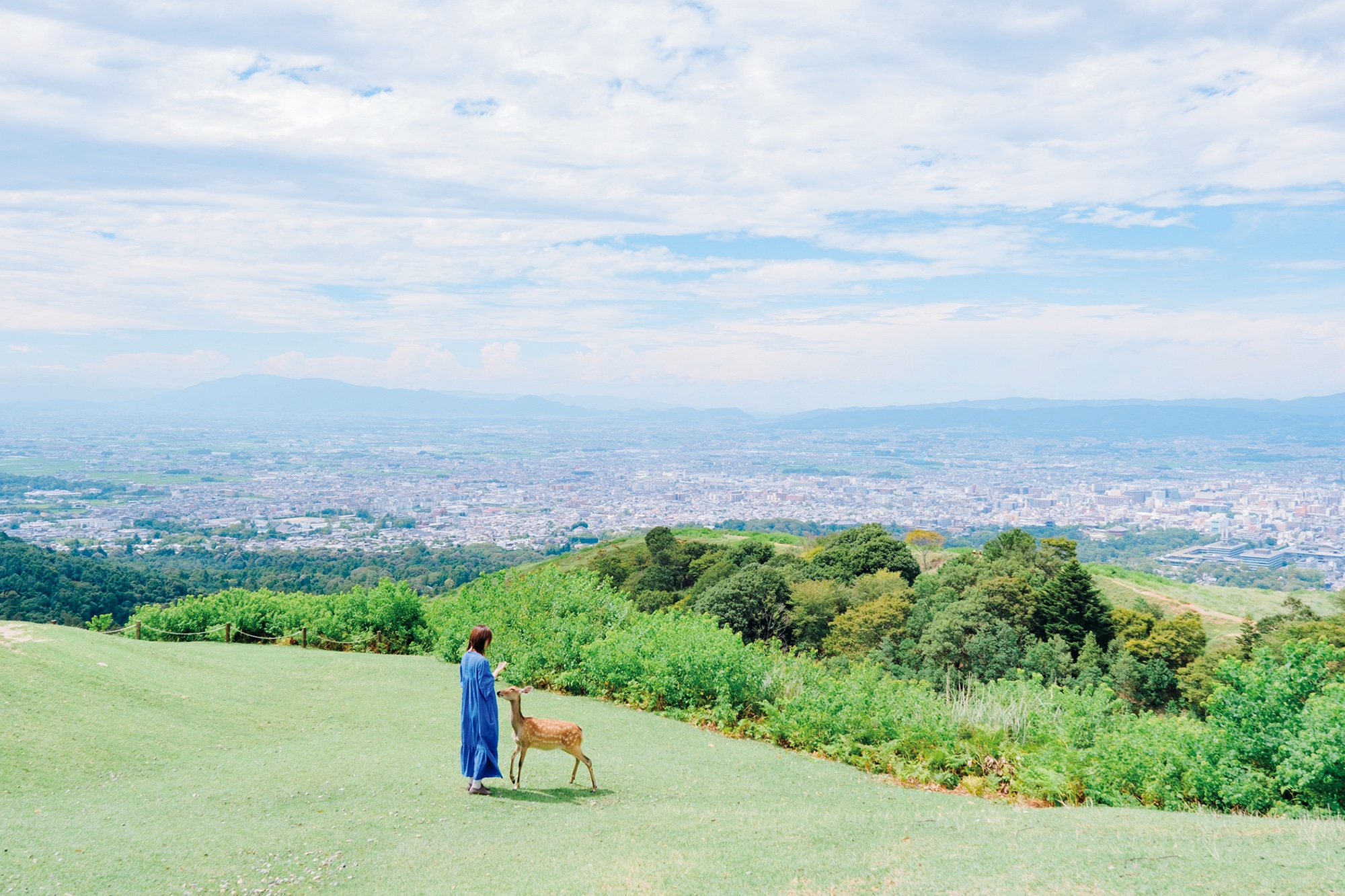 絶景Yuriさんの撮影場所の若草山山頂で鹿と2ショット