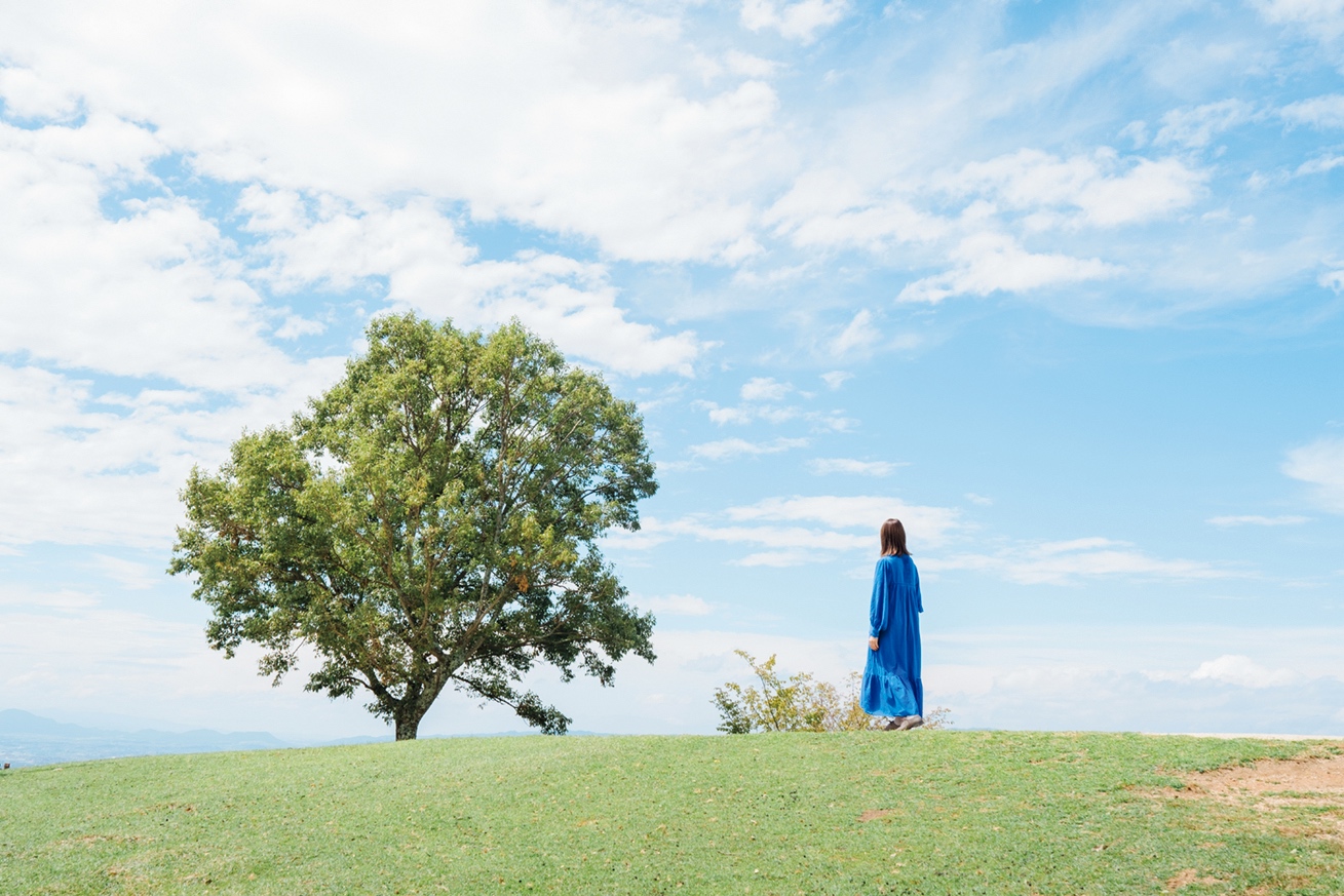 絶景Yuriさんの撮影場所の若草山の木のそば