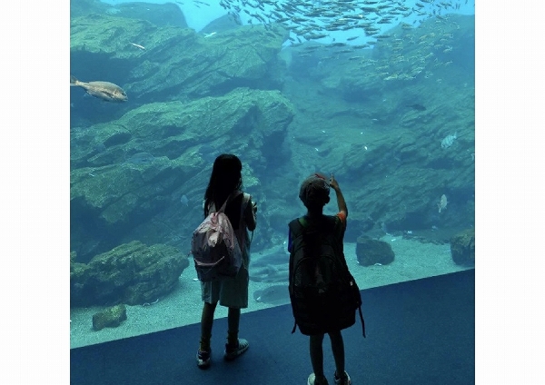 水族館