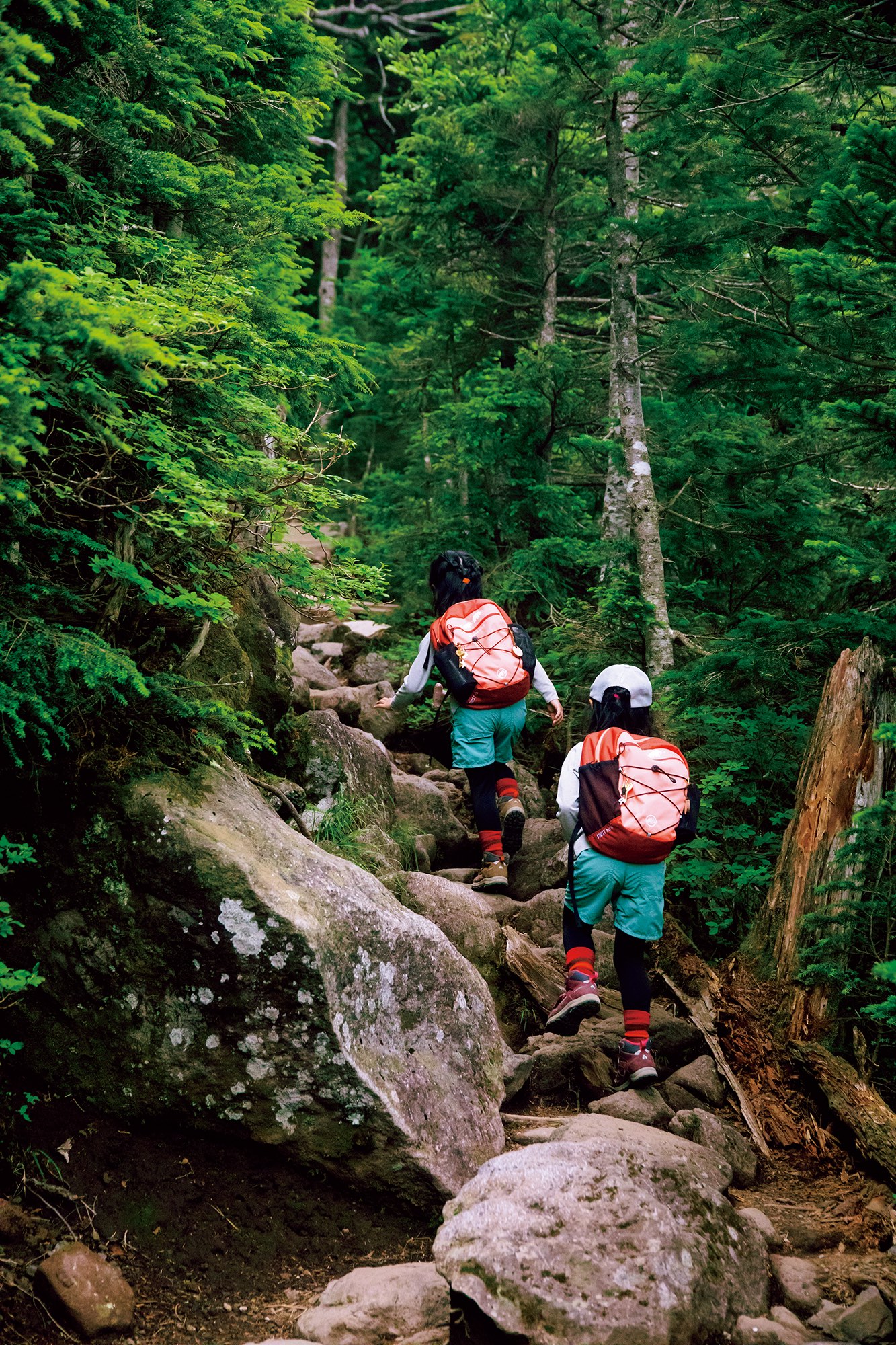 山育　親子登山の様子