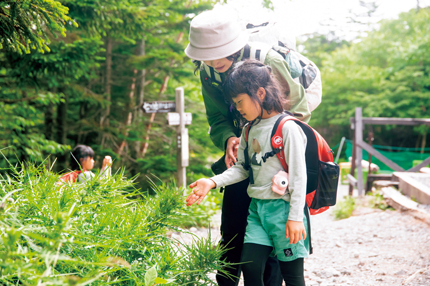 山育　親子登山の様子