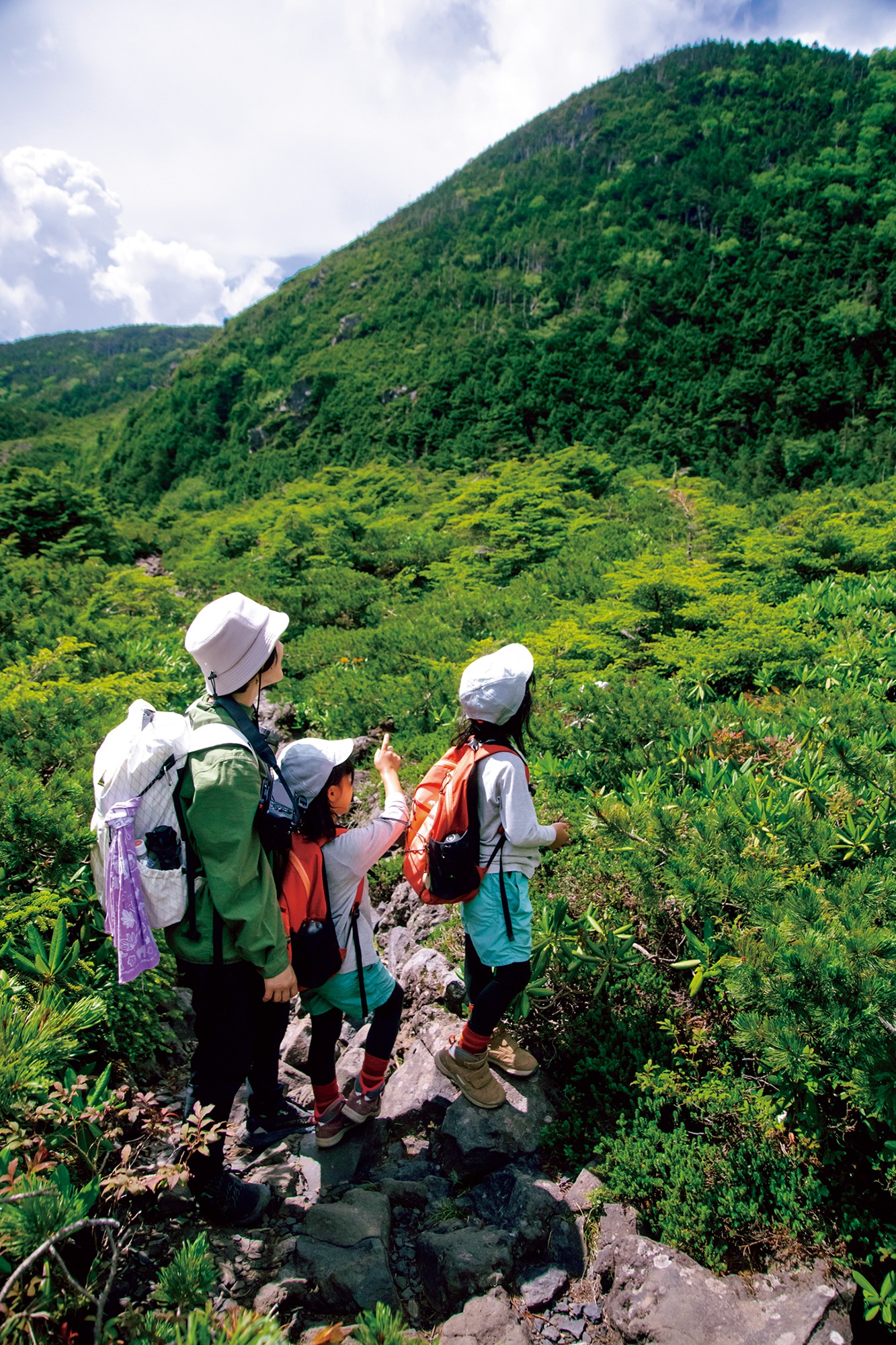 山育　親子登山の様子