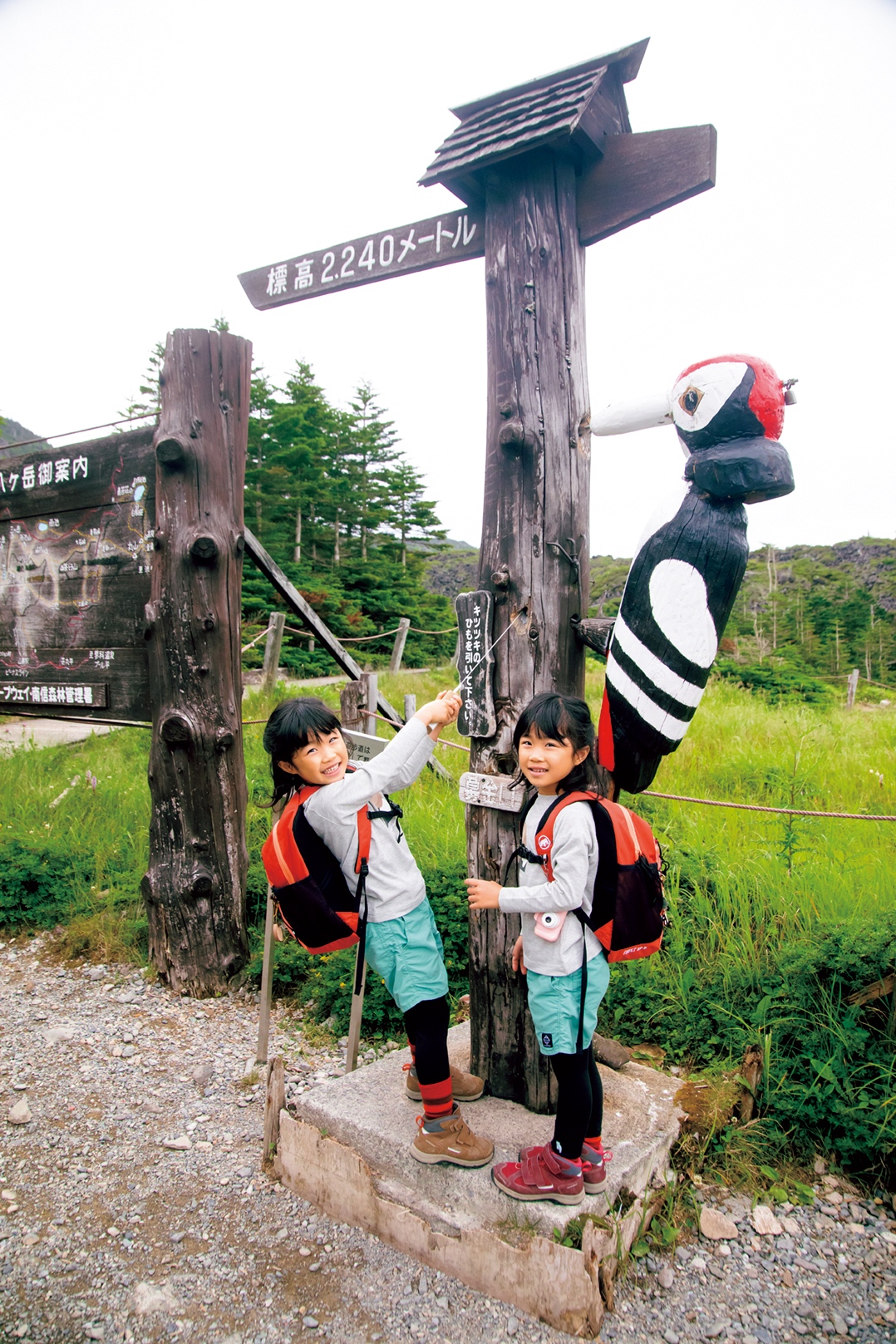 山育　親子登山の様子